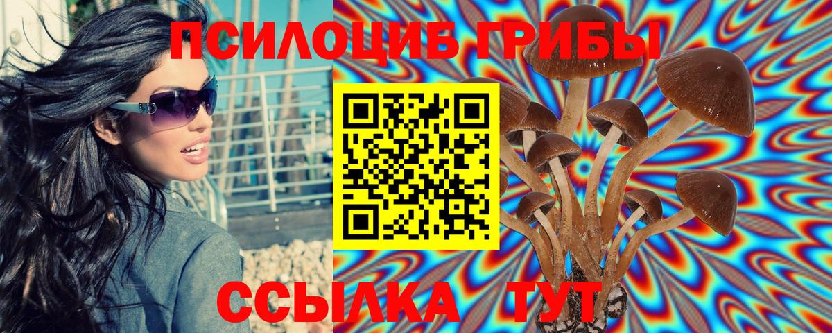 Кыштым  Псилоцибиновые грибы Psilocybine cubensis  Вход с VPN 