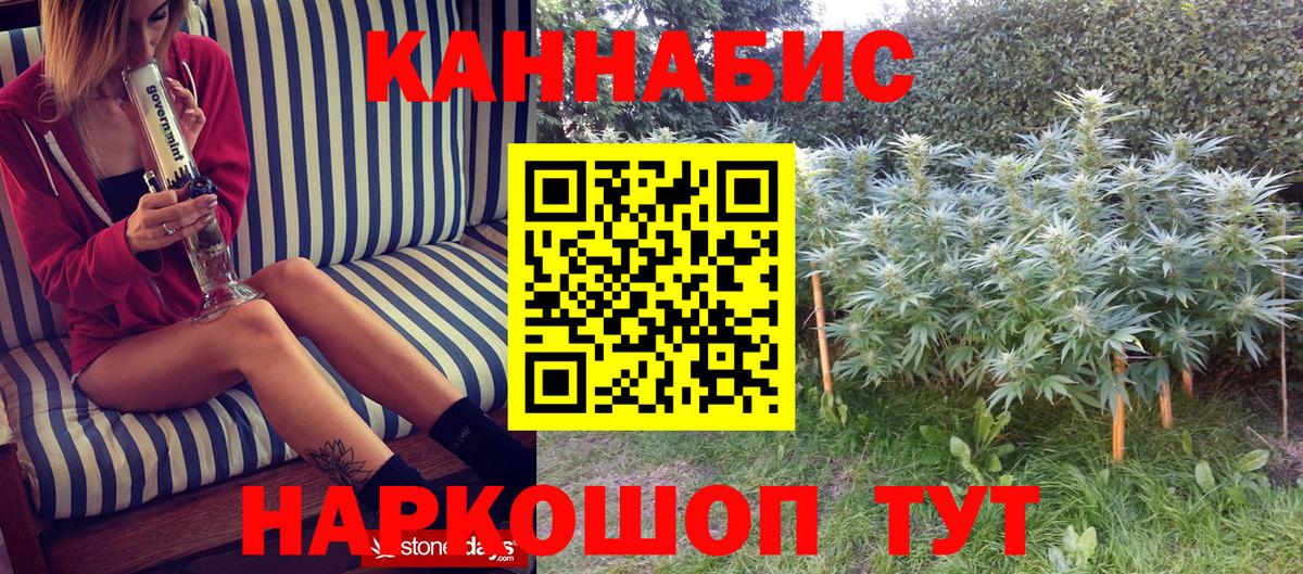 Шишки марихуана конопля  МАРИХУАНА SATIVA & INDICA  Бошки Шишки индика  Кыштым  Вход с VPN  Марихуана планчик 